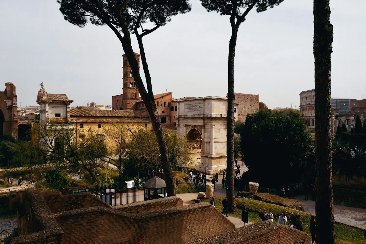 The Arch of Titus framed by trees