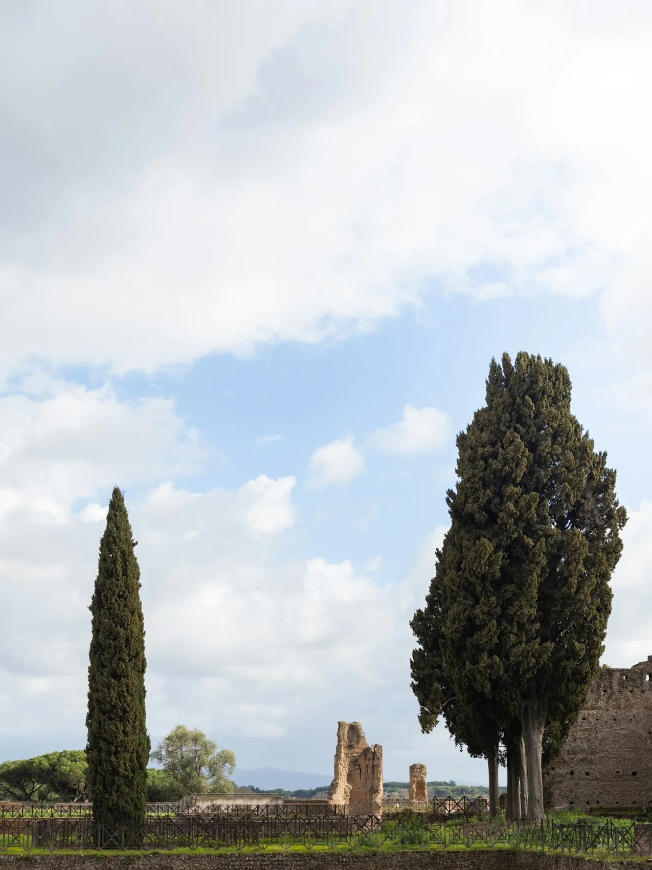 Trees above the archaeological grounds