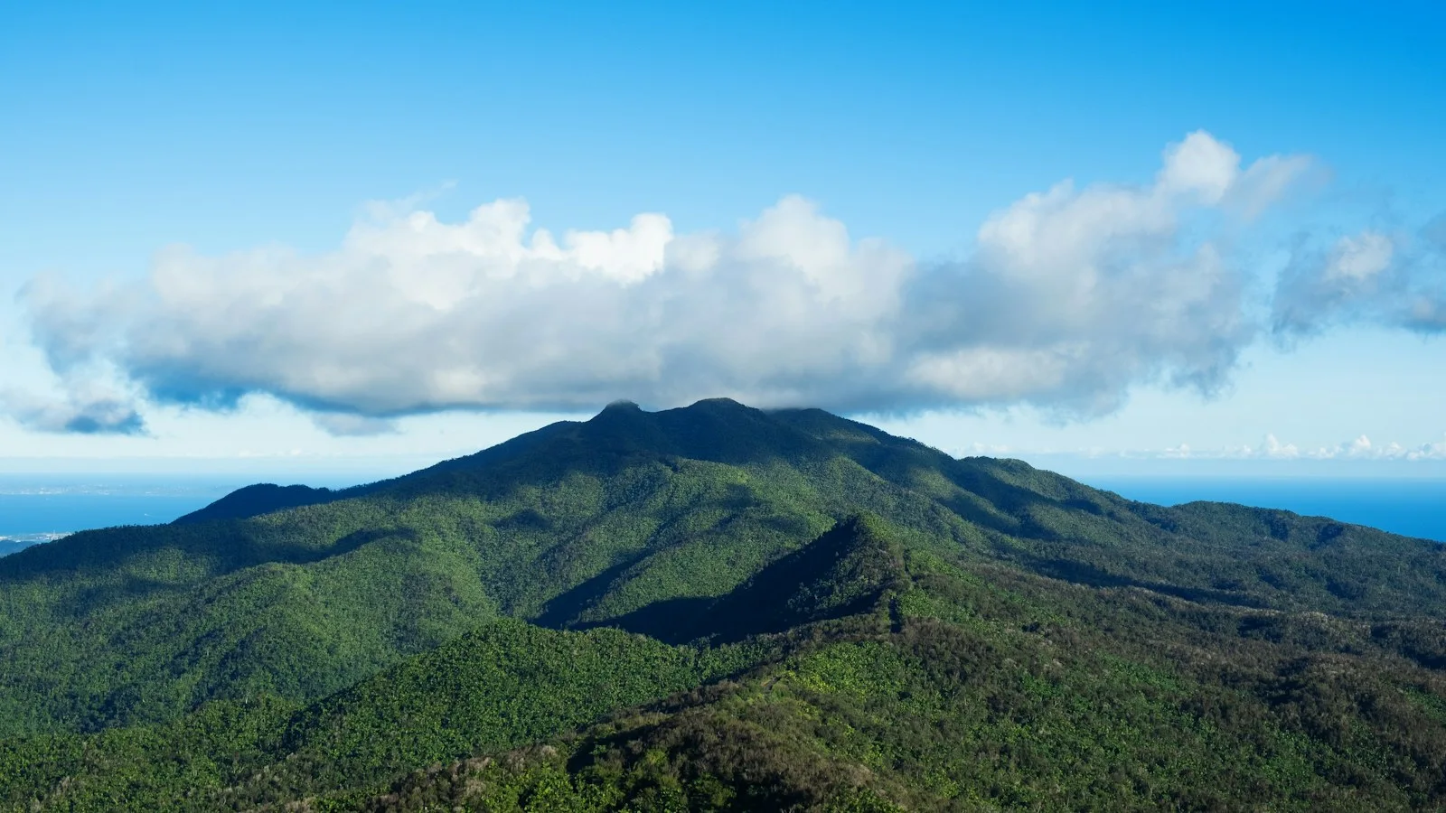 The mountains of El Yunque