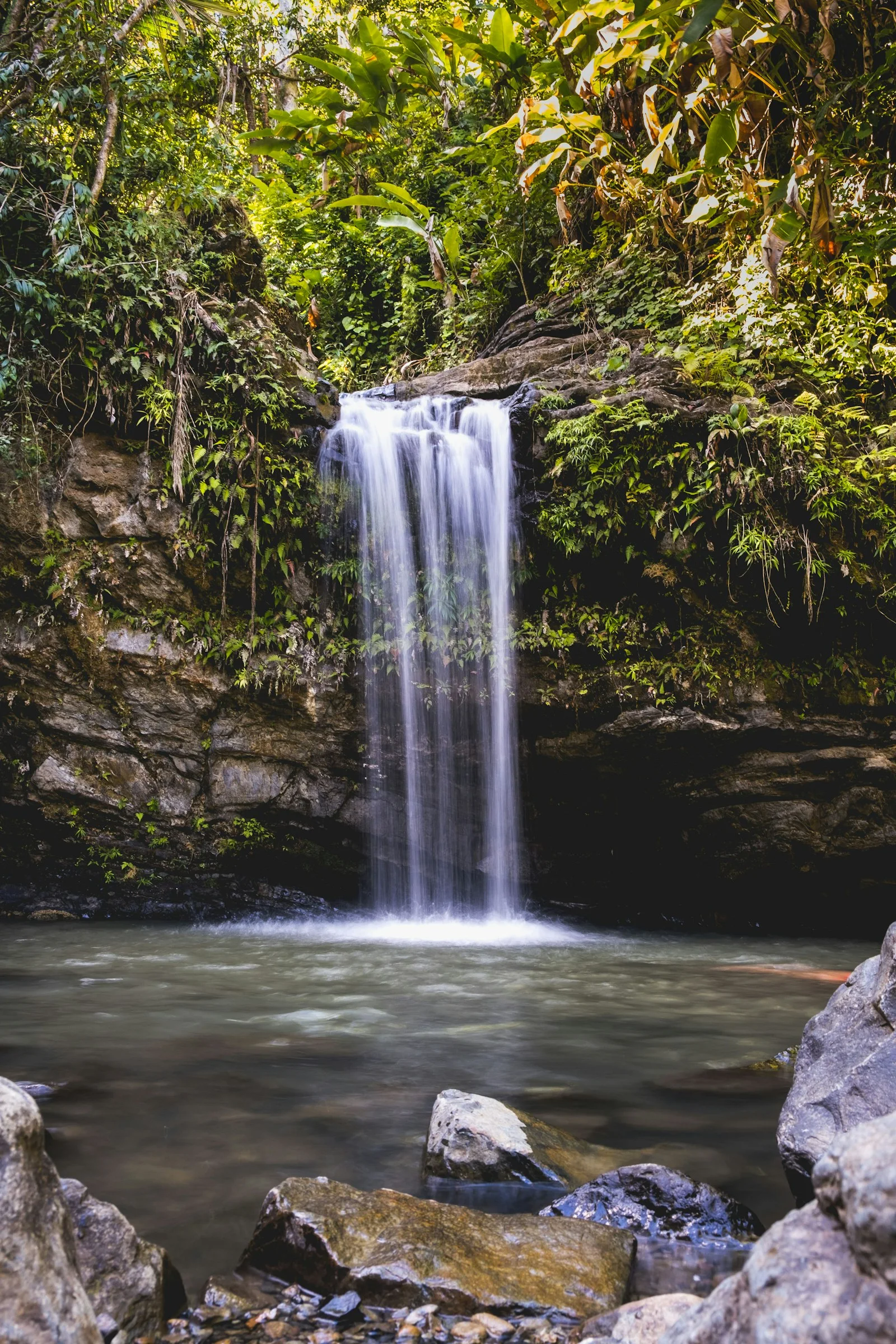 A waterfall in the El Yunque rainforest