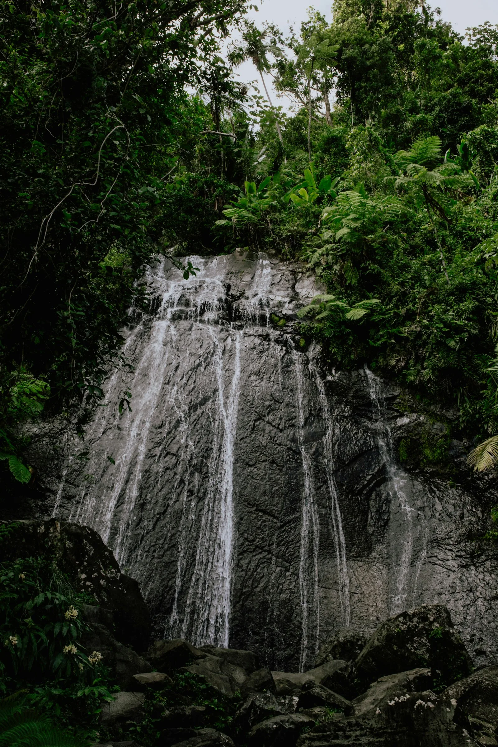 Water falling over a rocky forest slope