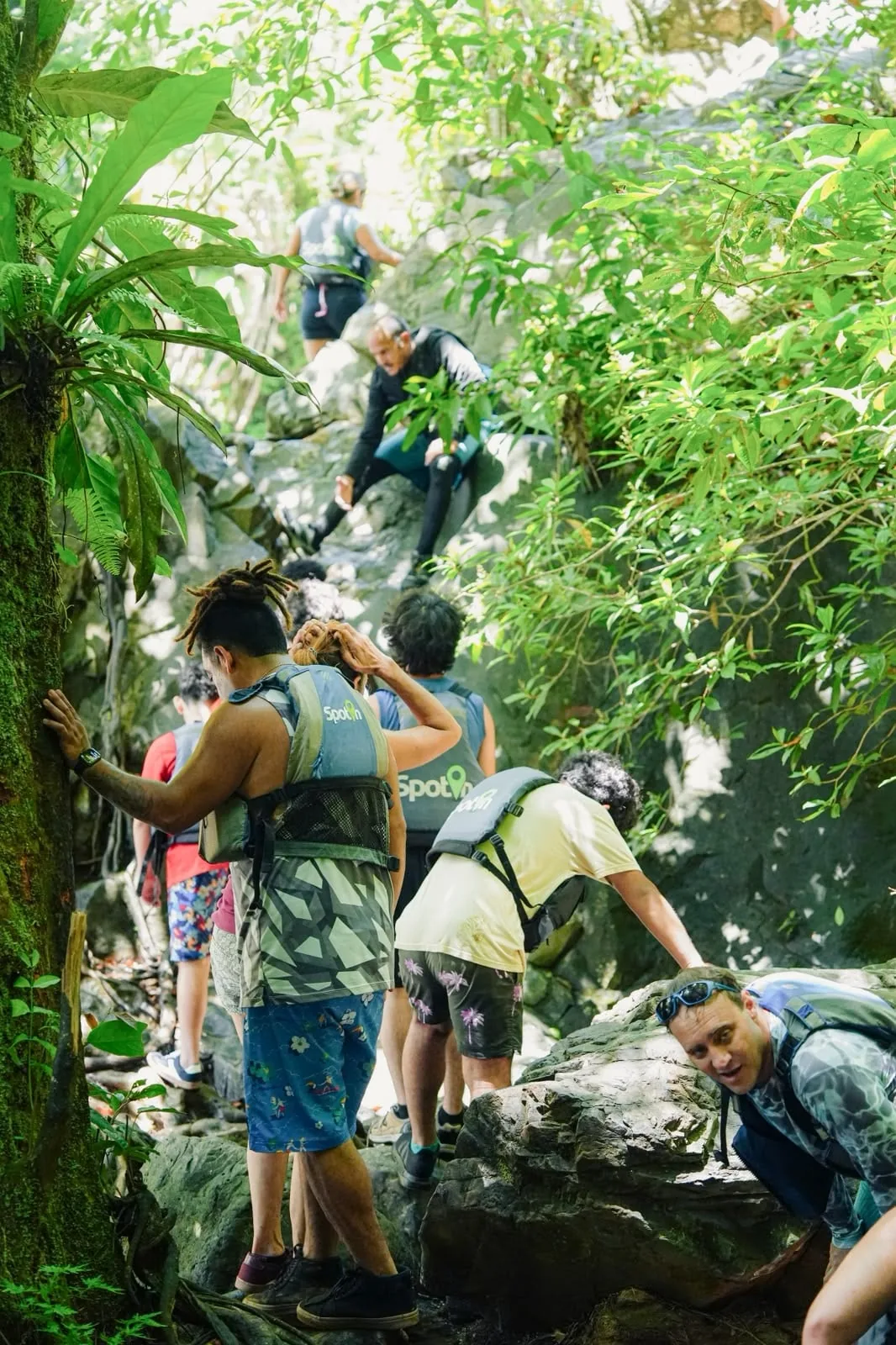 A group hiking uphill through rainforest vegetation