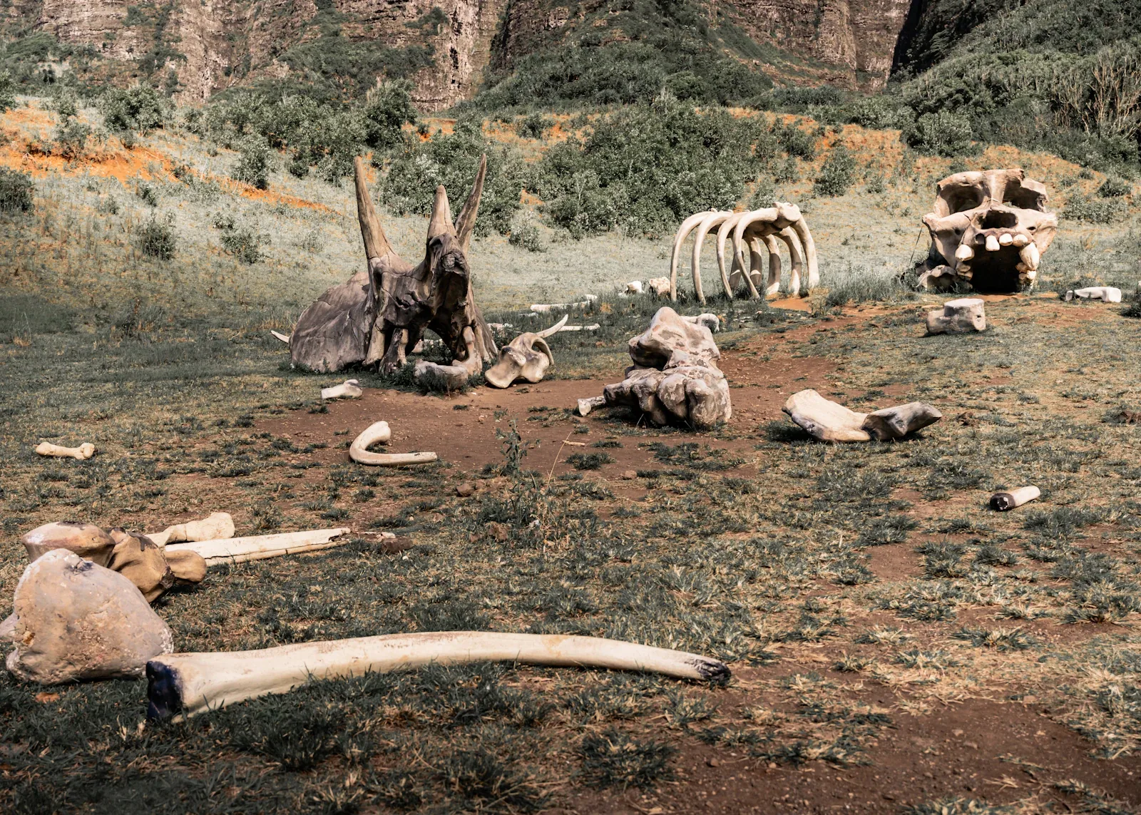 Movie props on the grass at Kualoa Ranch