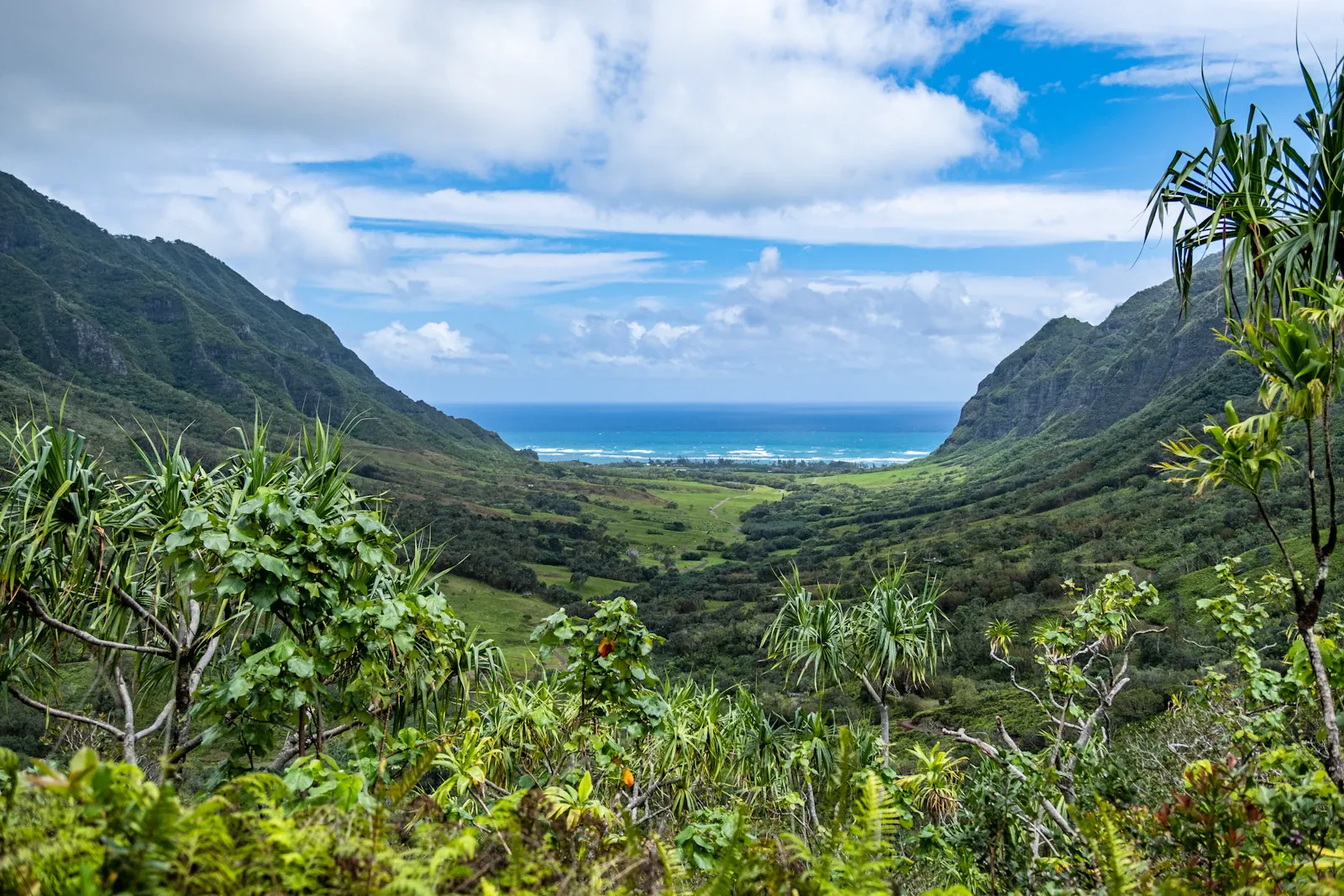 Kualoa valley looking toward the ocean