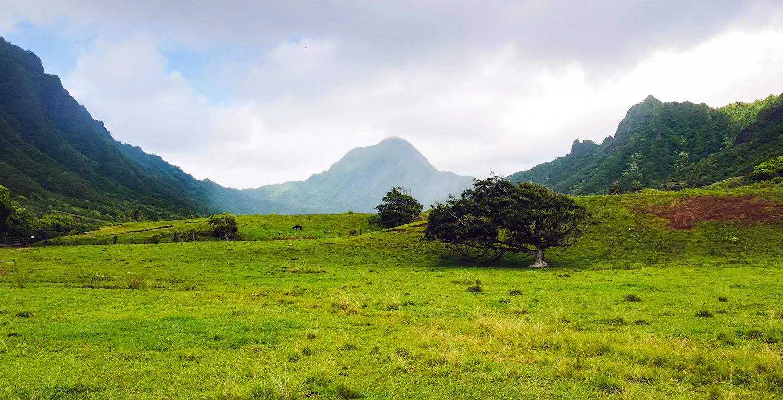 Clouds over the trees and fields at Kualoa