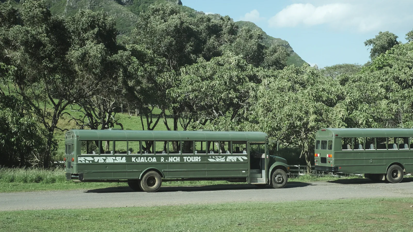 Green tour buses parked at Kualoa Ranch