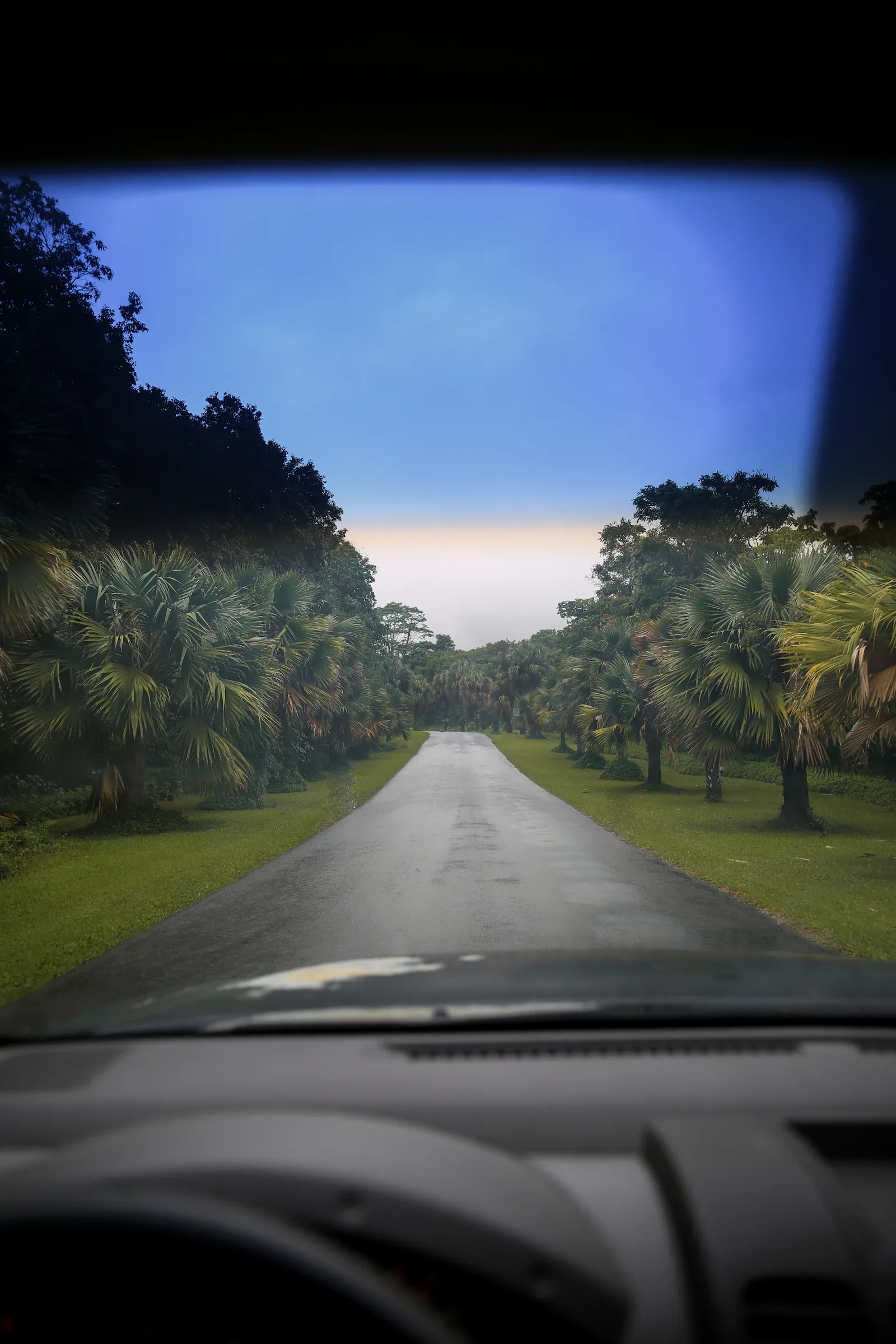 A road through Hoomaluhia Botanical Garden in Kaneohe